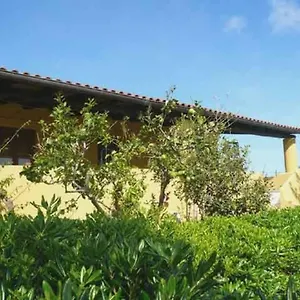 La Casa Di Titti E Jack Italia