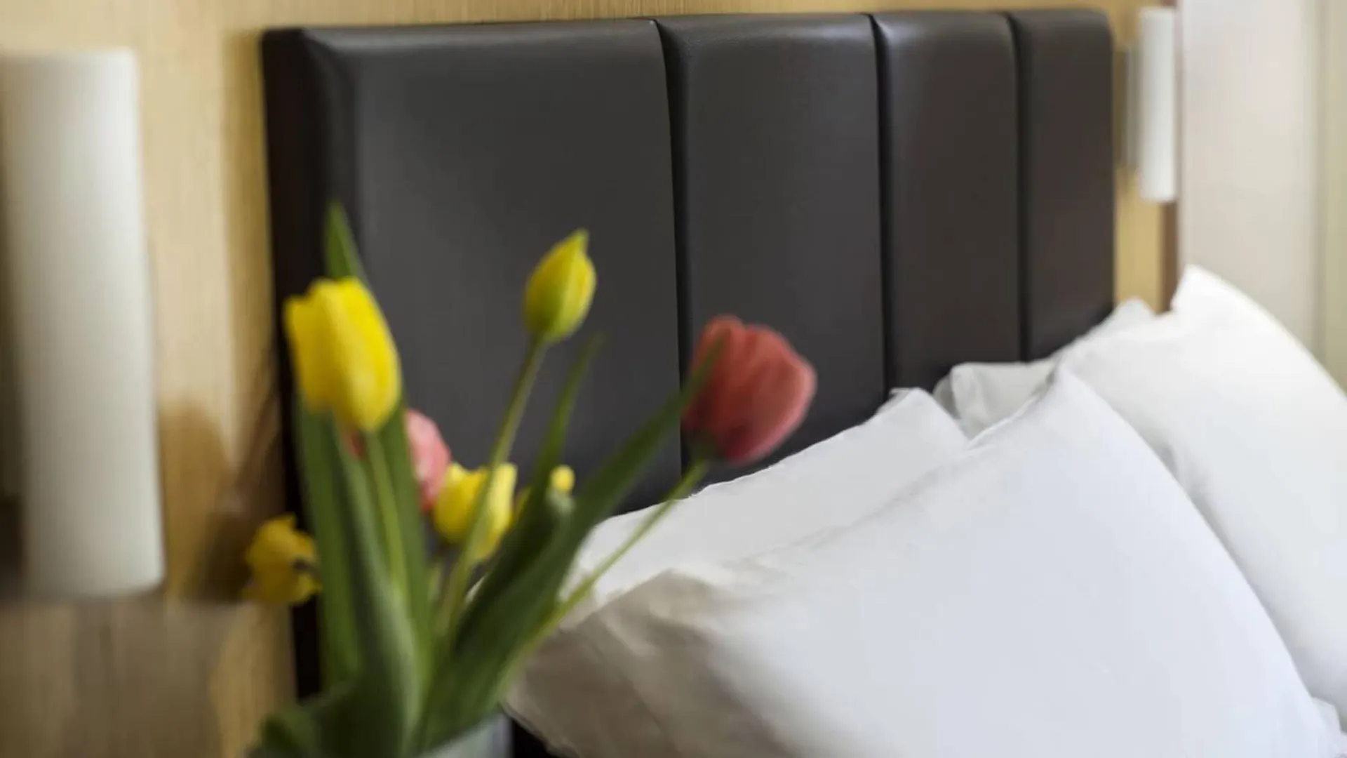 Acasamia Welchome Hotel Rimini